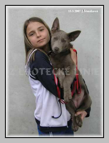 Kristyna_a_Adone.jpg