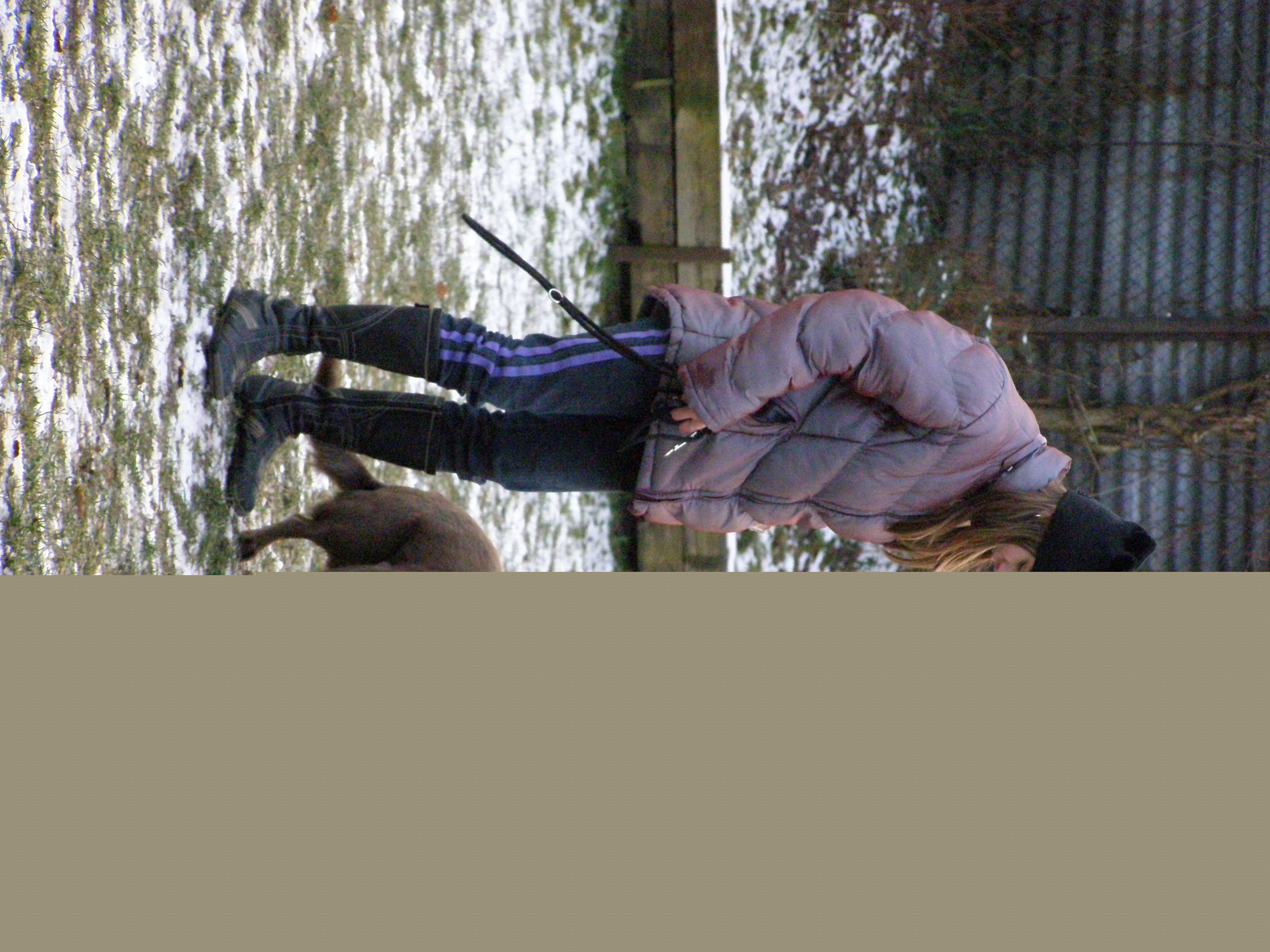 PC290178.JPG