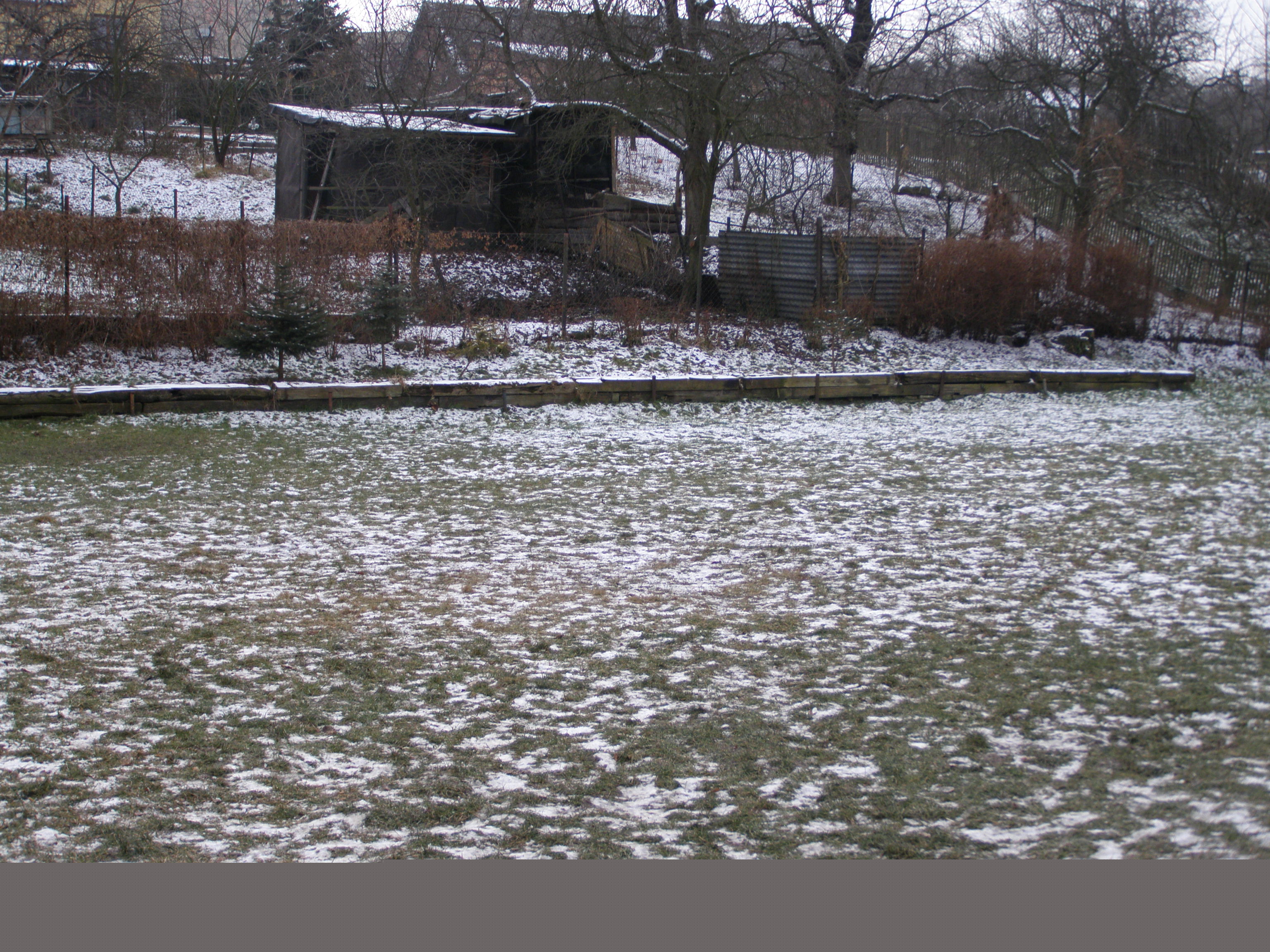 PC290109.JPG