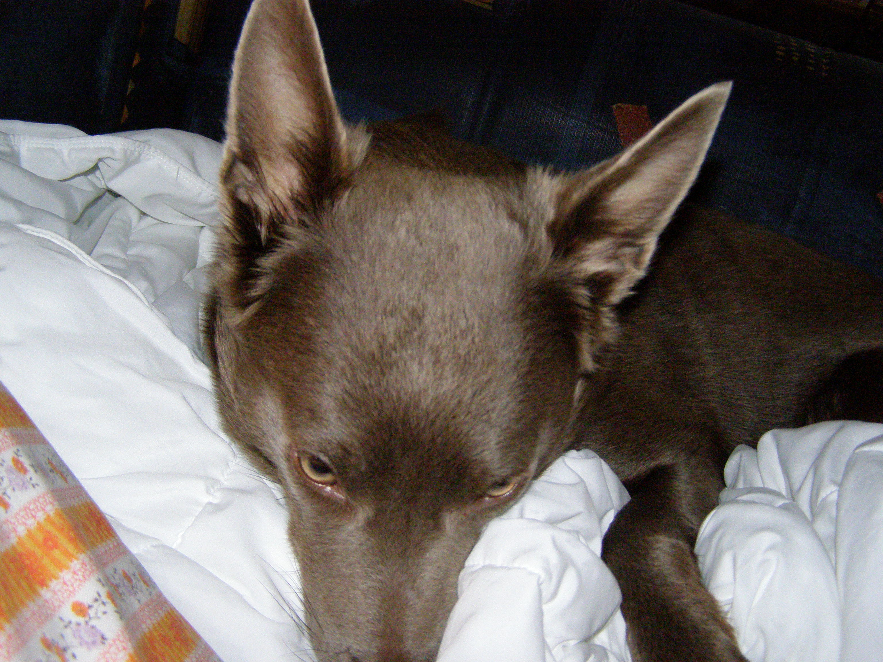 PC300222.JPG
